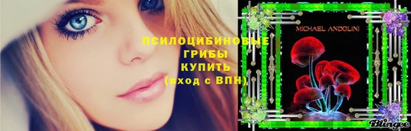 шишки Покачи