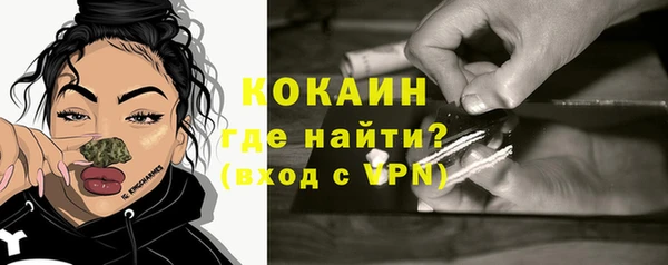 сатива Пересвет