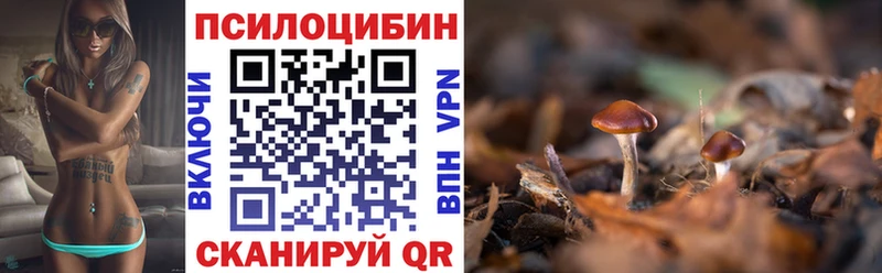 Галлюциногенные грибы GOLDEN TEACHER  Купить закладки  Туринск 